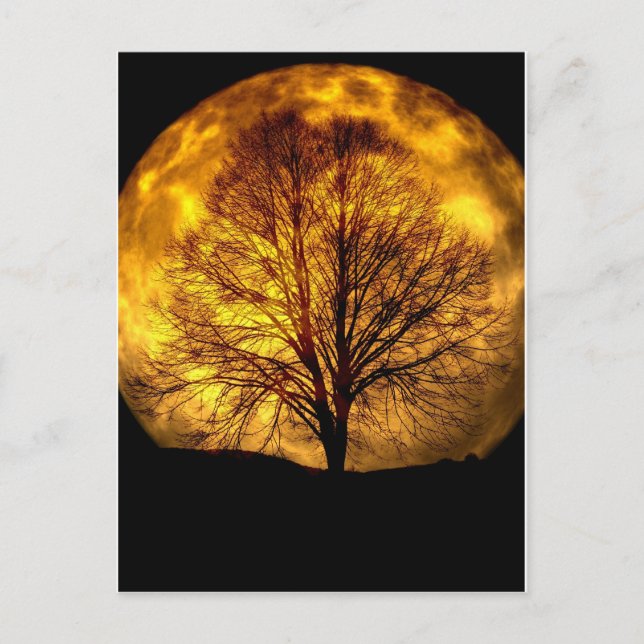 Carte Postale Arbre de la Lune éffrayante Destin d'automne Dons  (Devant)