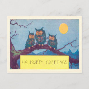 Carte Postale Arbre de la pleine lune du hibou