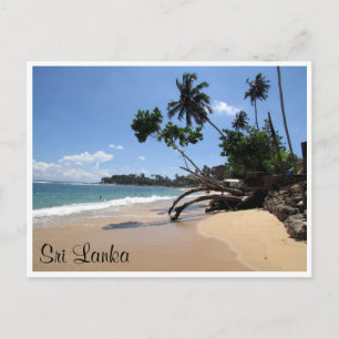 Carte Postale arbre de plage unawatuna
