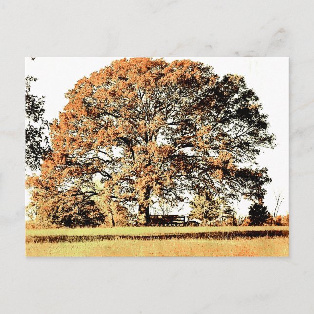 Carte Postale Arbre de vie (Devant)