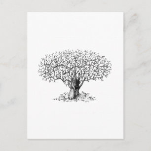 Carte Postale Arbre de vie - animaux