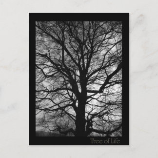 Carte Postale Arbre de vie - Lebensbaum - Baum des Lebens