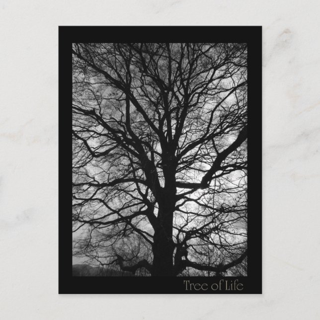 Carte Postale Arbre de vie - Lebensbaum - Baum des Lebens (Devant)