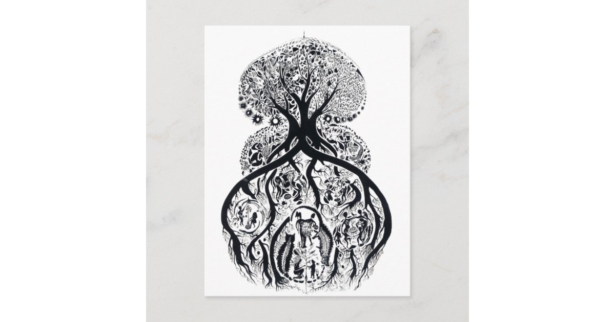 Carte Postale ARBRE DE VIE - noir & blanc | Zazzle.fr
