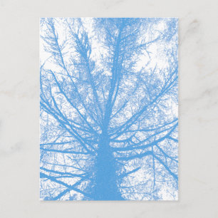 CARTE POSTALE ARBRE D'HIVER