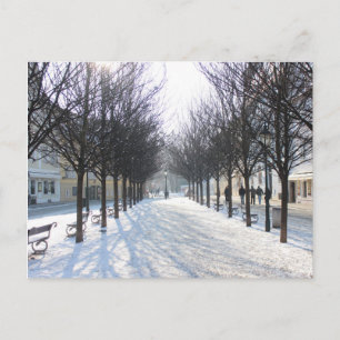 Carte Postale Arbre d'hiver à Prague (république tchèque)