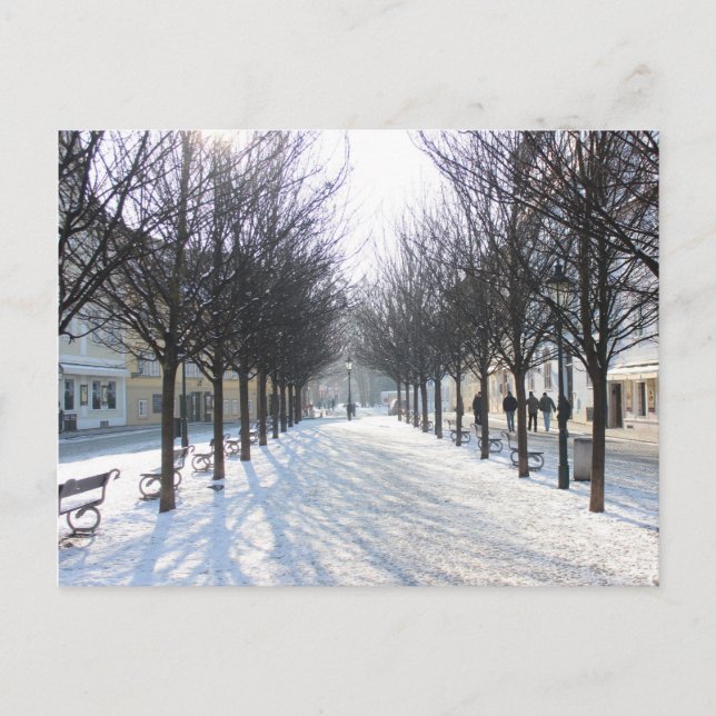 Carte Postale Arbre d'hiver à Prague (république tchèque) (Devant)