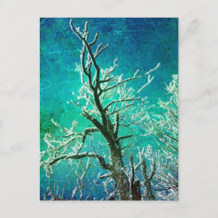 Carte Postale Arbre d'hiver congelé