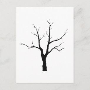 Carte Postale Arbre d'hiver Jeu noir et blanc