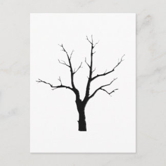 Carte Postale Arbre d'hiver Jeu noir et blanc