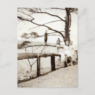 Carte Postale Arbre Du Passé