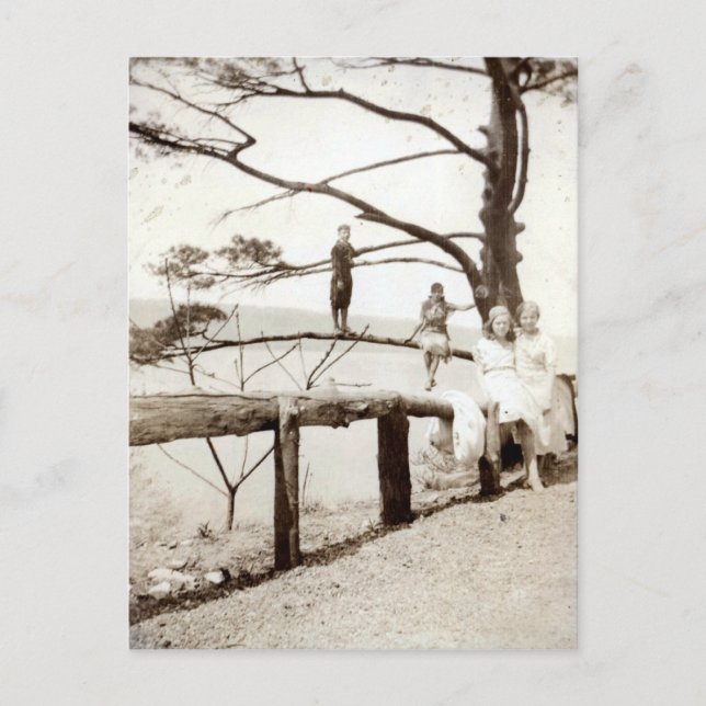 Carte Postale Arbre Du Passé (Devant)