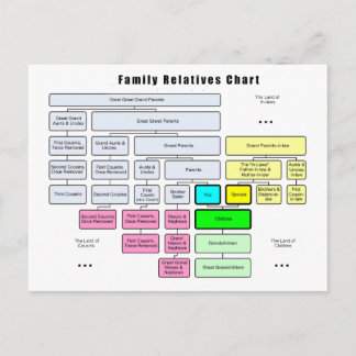 Carte Postale Arbre familial général Organisation des familles