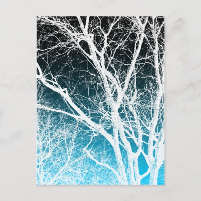 Carte Postale arbre fantôme (Devant)