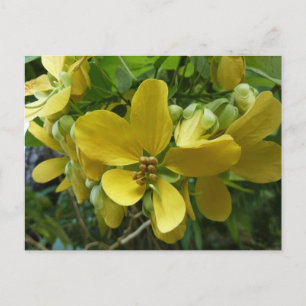 Carte Postale Arbre floral tropical jaune Shower doré