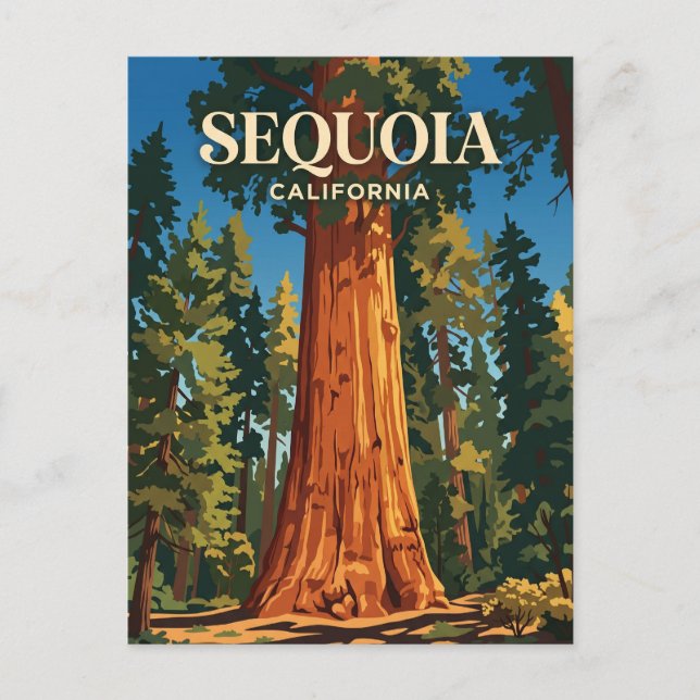 Carte Postale Arbre General Sherman, Parc national de Sequoia US (Devant)