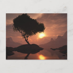 Carte postale Arbre Lone