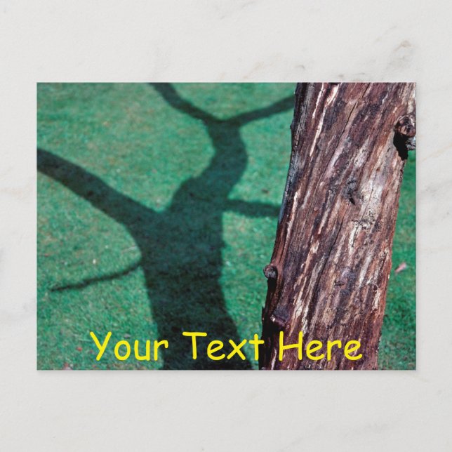 Carte Postale Arbre mort personnalisable (Devant)