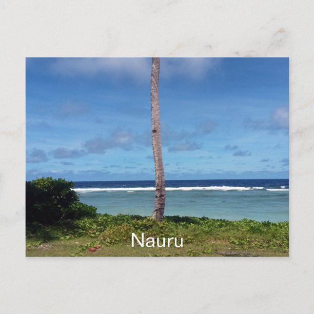 Carte Postale arbre nauru (Devant)