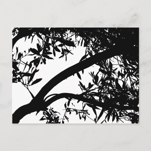 Carte postale Arbre noir et blanc (Devant)