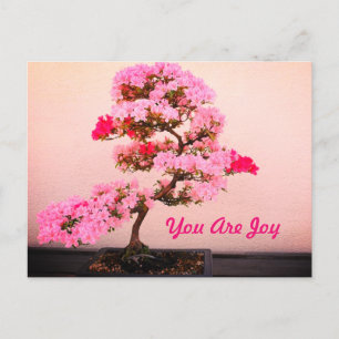 Carte Postale Arbre rose bonsaï