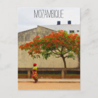 arbre rouge mozambique