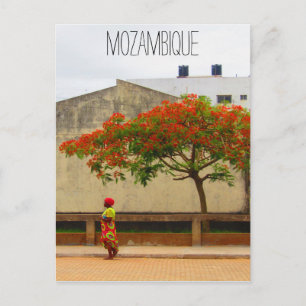 Carte Postale arbre rouge mozambique
