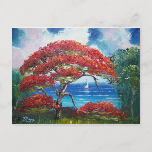 Carte Postale Arbre Royal Poinciana en floraison et voilier