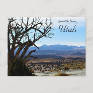 Carte Postale Arbre sans feuilles en Utah