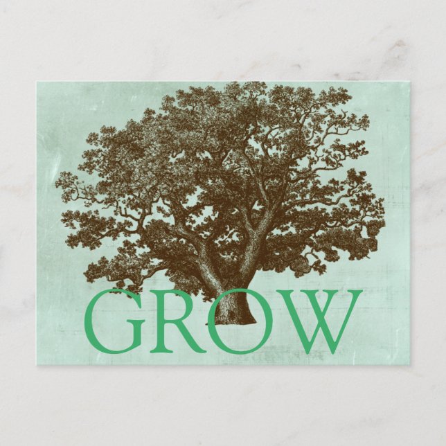 Carte Postale Arbre spa IV (Devant)