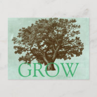 Arbre spa IV