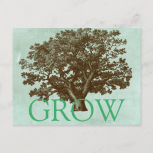 Carte Postale Arbre spa IV