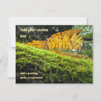 Arbre trempé dans la mousse d'automne - Personnali