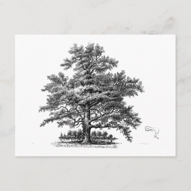 Carte Postale Arbre vintage Ephémère Découpage Art (Devant)