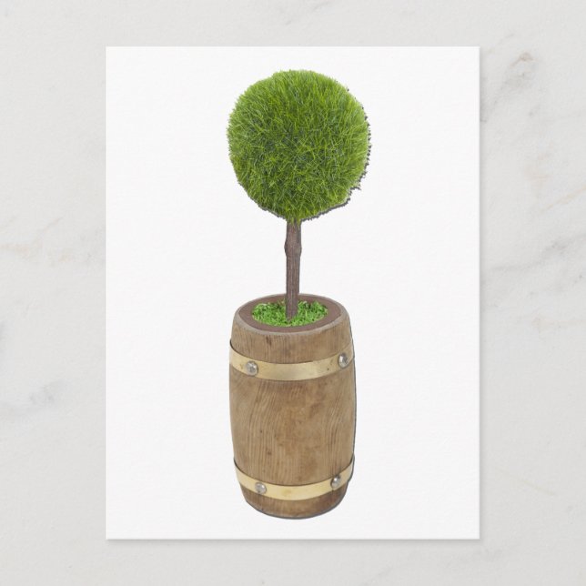 Carte Postale ArbrePlantedPluieBaril050811 (Devant)