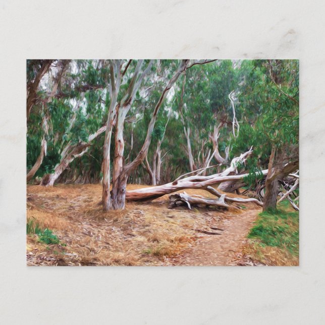 Carte Postale Arbres (Devant)