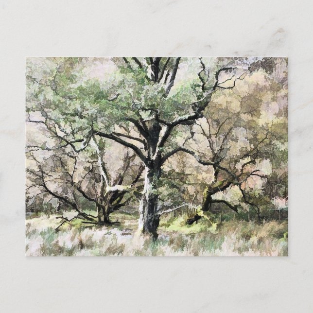 CARTE POSTALE ARBRES (Devant)