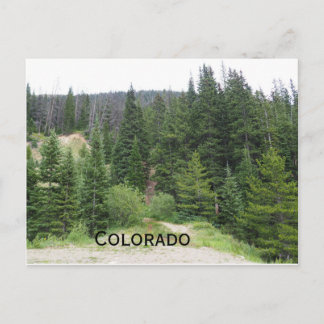 Carte Postale Arbres à feuillage persistant dans les montagnes d