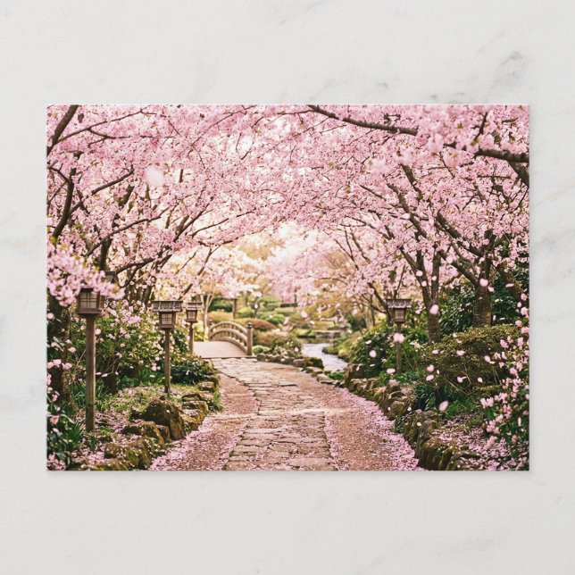 Carte Postale Arbres à fleurs de cerisier (Devant)