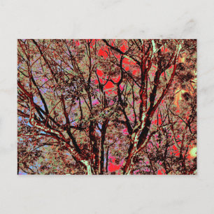 CARTE POSTALE ARBRES À TOMBER