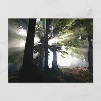 Carte Postale Arbres Abstraits