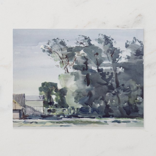 Carte Postale Arbres - Aube (Devant)