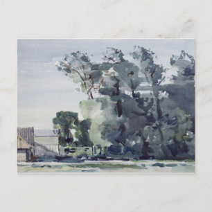 Carte Postale Arbres - Aube
