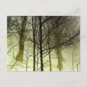Carte Postale Arbres couverts de neige