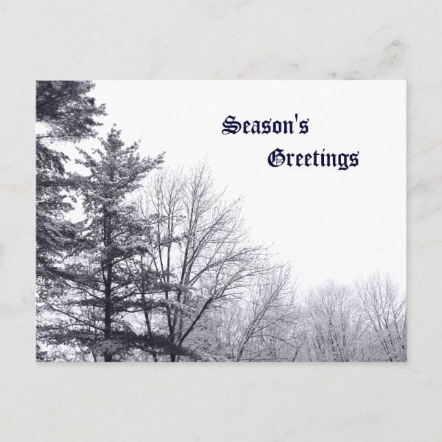 Carte Postale Arbres couverts de neige : Horizontaux (Devant)