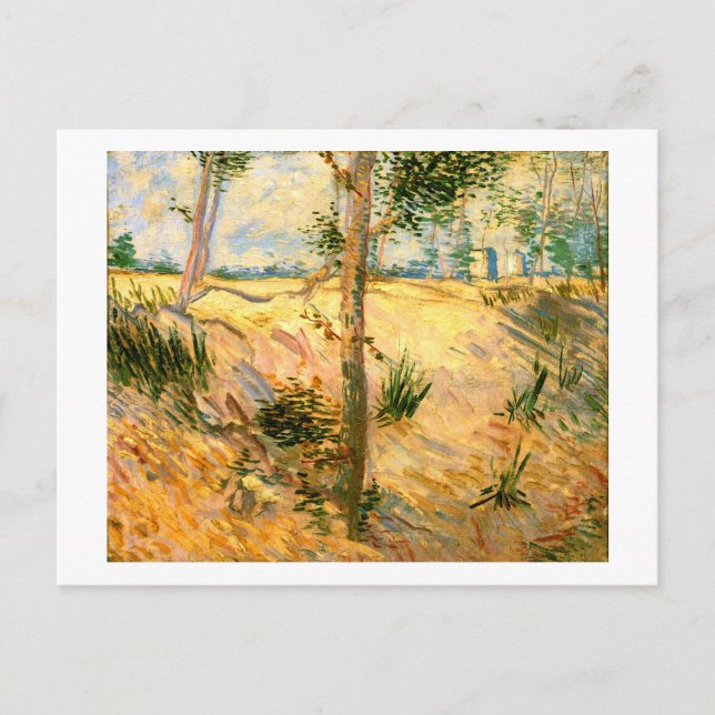 Carte Postale Arbres dans un champ par jour ensoleillé, Van Gogh (Devant)