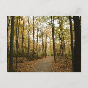 Carte postale Arbres d'automne
