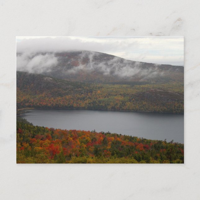 Carte Postale Arbres d'automne de l'Acadie (Devant)