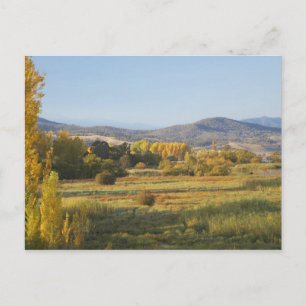 Carte Postale Arbres d'automne, Khancoban, Montagnes enneigées,