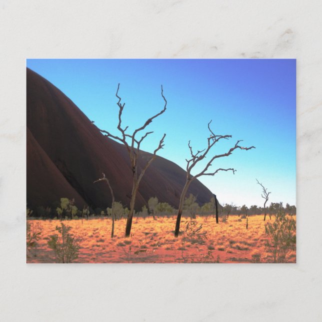 Carte Postale Arbres d'Ayers Rock (Devant)